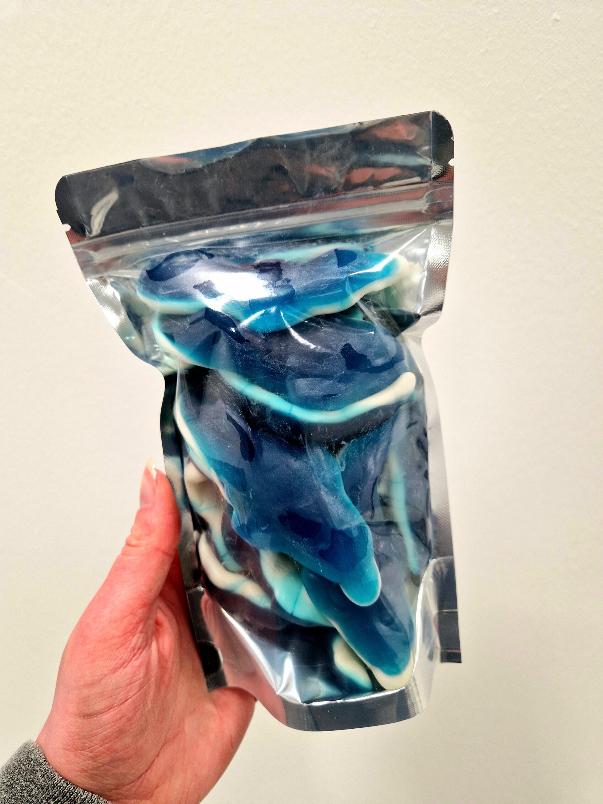 Giant Dolphins 400g Pouch - Image 2