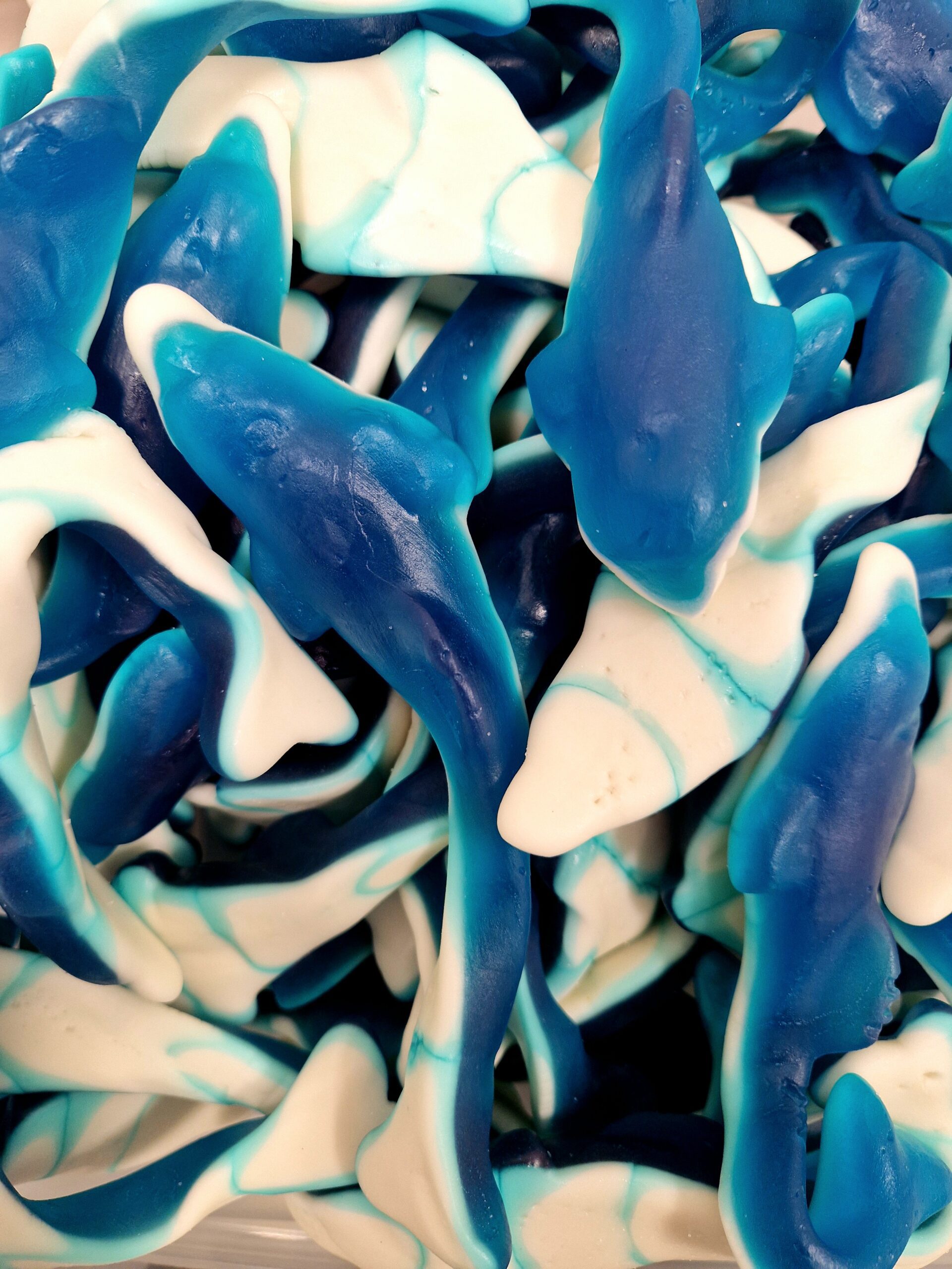 Giant Dolphins 400g Pouch